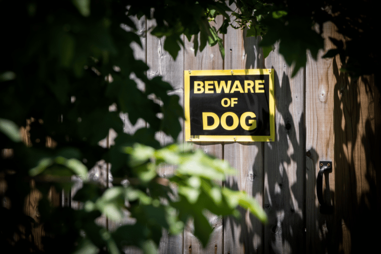 Beware of dog sign on wooden fence