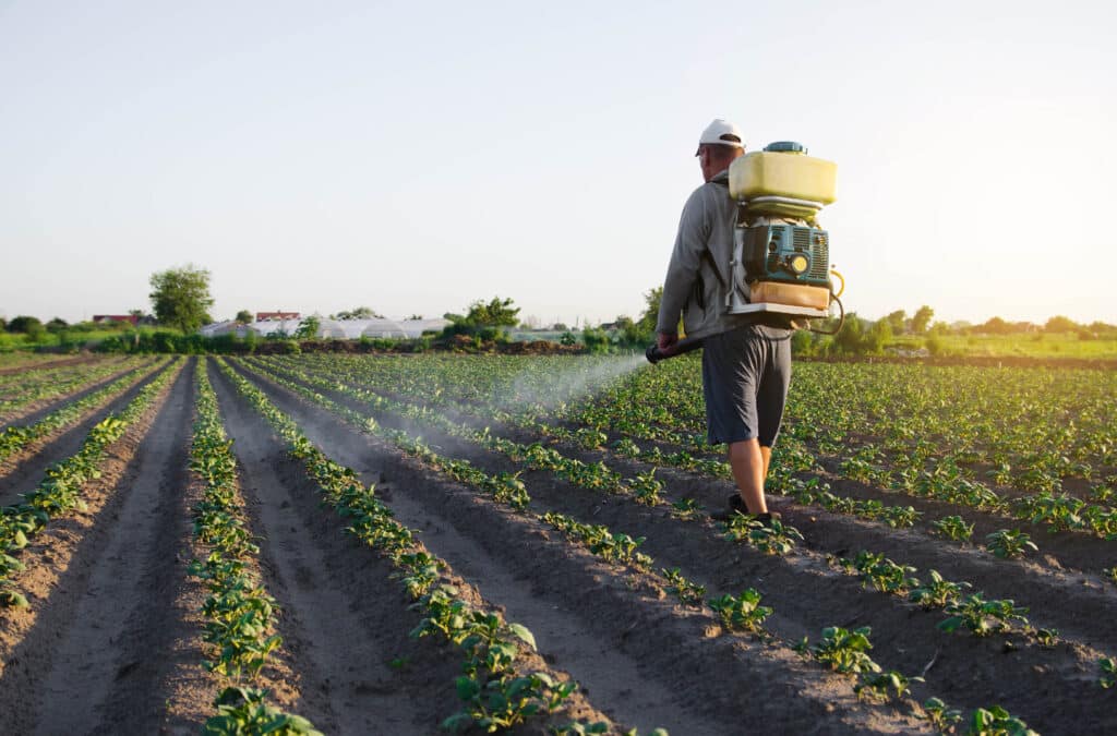 spraying paraquat