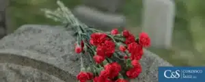 Flower on top of a grave