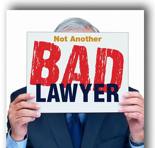 BOOK File not-another-bad-lawyer-CS-ebook (1) 1
